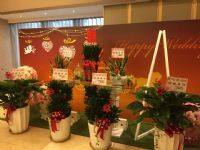 1050312第二屆第四次會員大會暨新春聯誼餐會
