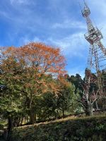 1101218-1219協會阿里山輕旅行2日遊