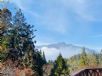 1101218-1219協會阿里山輕旅行2日遊