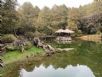 1101218-1219協會阿里山輕旅行2日遊