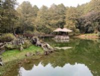 1101218-1219協會阿里山輕旅行2日遊