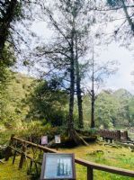 1101218-1219協會阿里山輕旅行2日遊