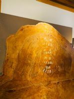 1101218-1219協會阿里山輕旅行2日遊