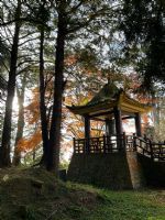 1101218-1219協會阿里山輕旅行2日遊