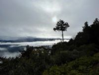 1101218-1219協會阿里山輕旅行2日遊