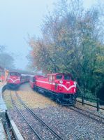 1101218-1219協會阿里山輕旅行2日遊
